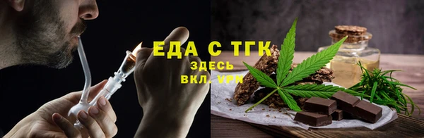 индика Алзамай