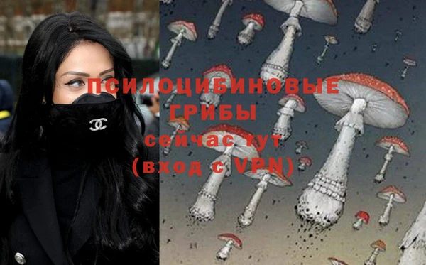 ГАЛЛЮЦИНОГЕННЫЕ ГРИБЫ Алексеевка