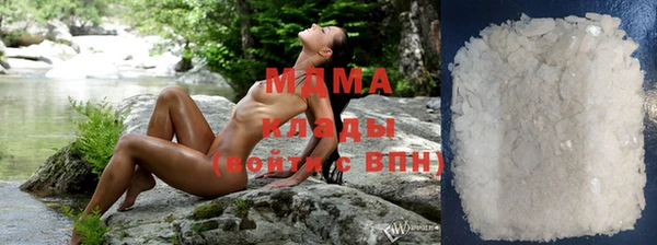 индика Алзамай