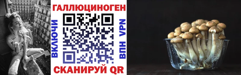 Псилоцибиновые грибы GOLDEN TEACHER  хочу   Евпатория 
